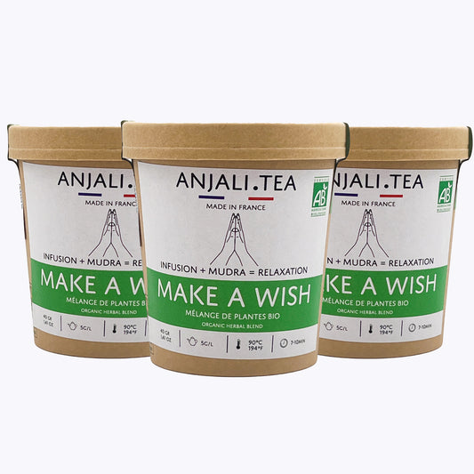 21-Day Positive Attitude Routine -  Make A Wish - 3 pots